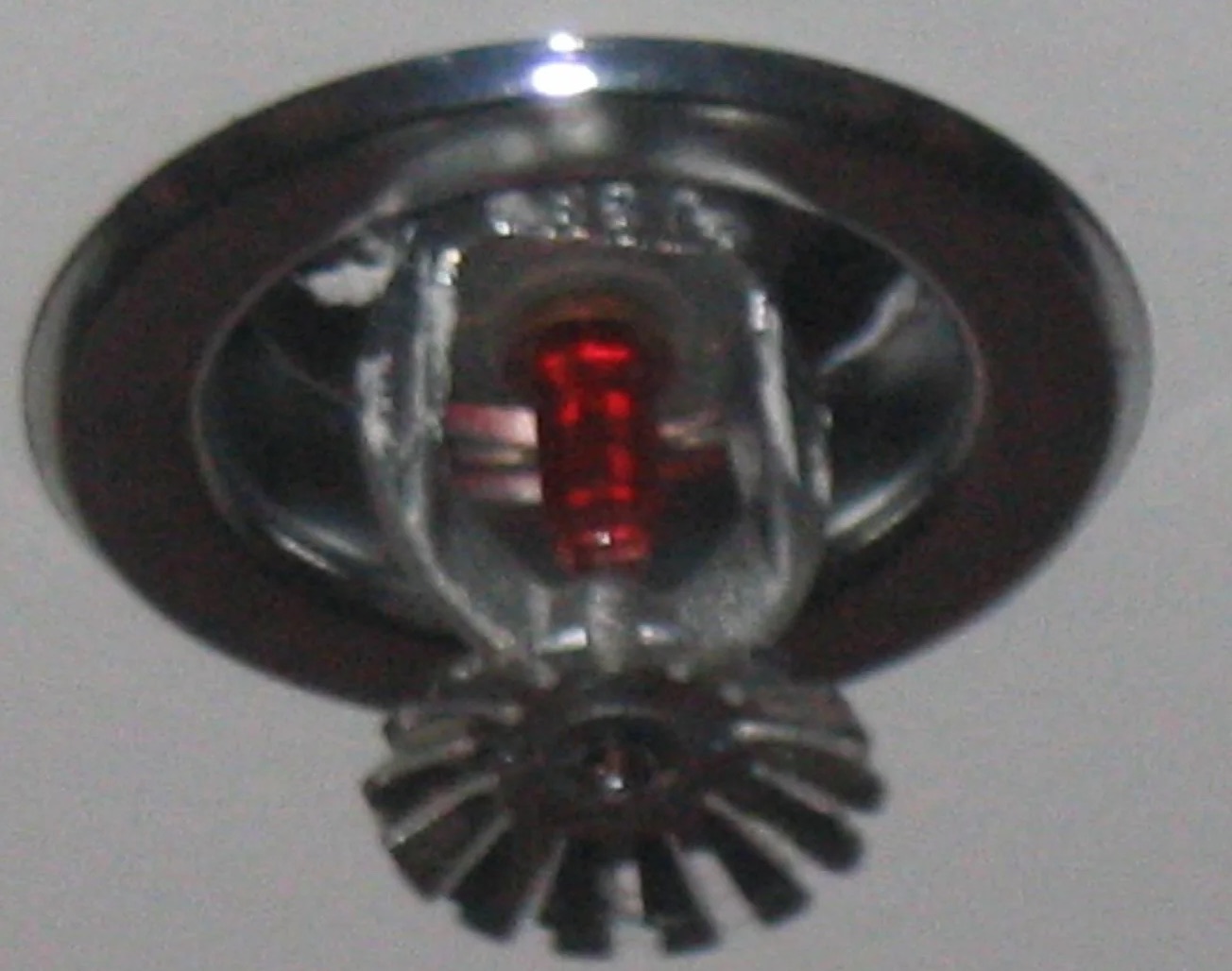 Sprinkler System Water Removal in Wilmer, TX