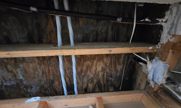 Attic Mold Removal in Mesquite, TX