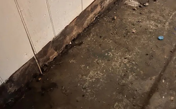 Toilet Overflow Cleanup in Mesquite, TX