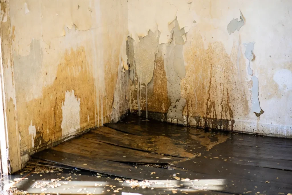 Water Damage & Flooding in Mesquite, TX